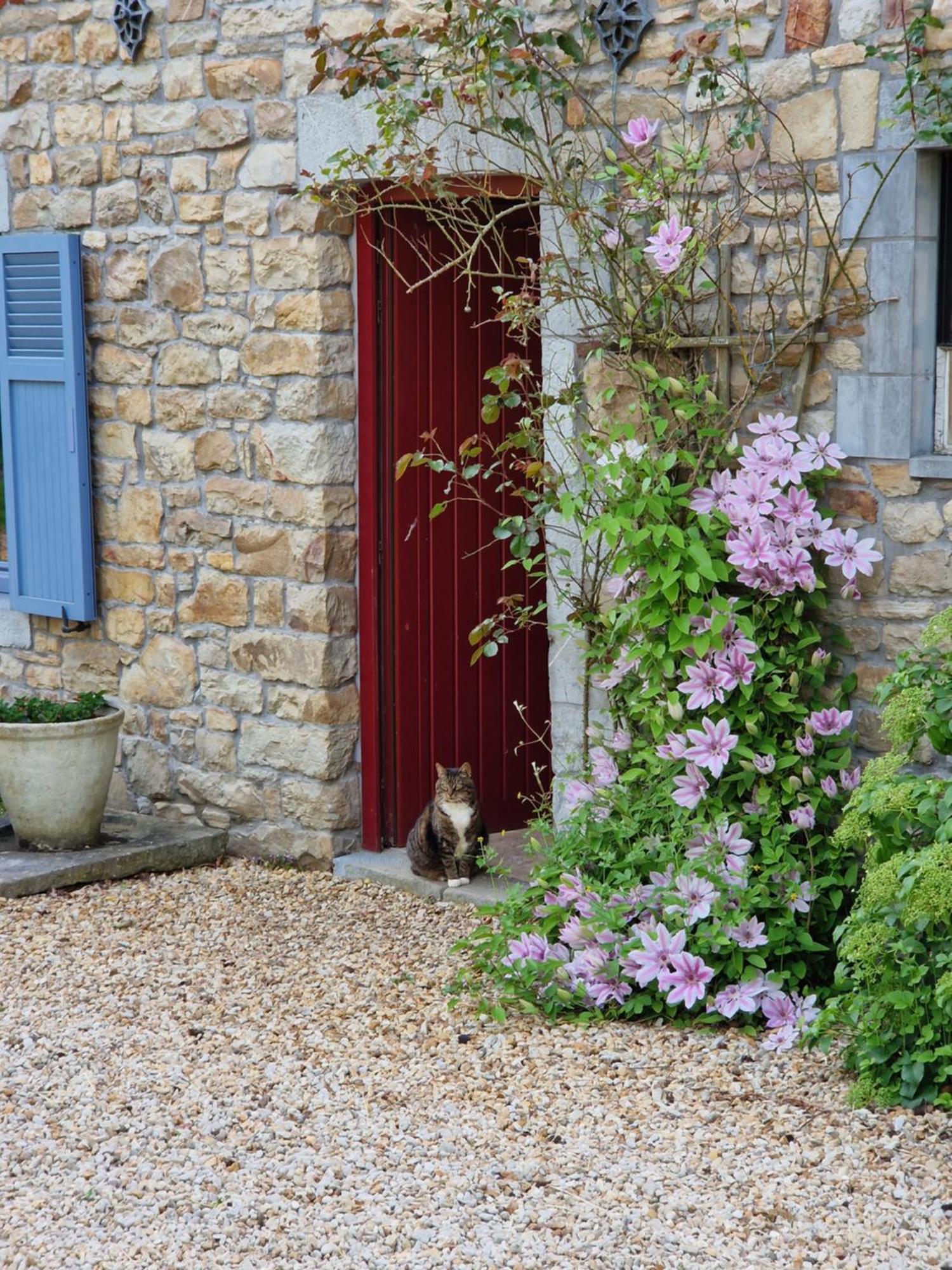 Habitat Bed & Breakfast Momignies Bagian luar foto